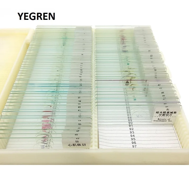 91 Pieces Mixed Microscope Prepared Slides Biological Teaching Studying Middle School Student Children Birthday Gift