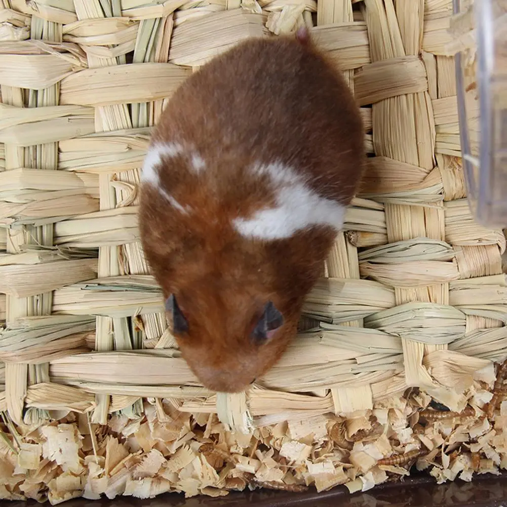 

Grass Mat Hay Net Hand Woven Straw Mat Hamster Guinea Pig Rectangular Mat Nest Pad