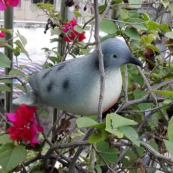 

Hunting Little Bird Scare Protect Garden Bird Decoy Bionic Animal Bait Outdoor Hunting Birds Decoy Accessory Garden Decoration