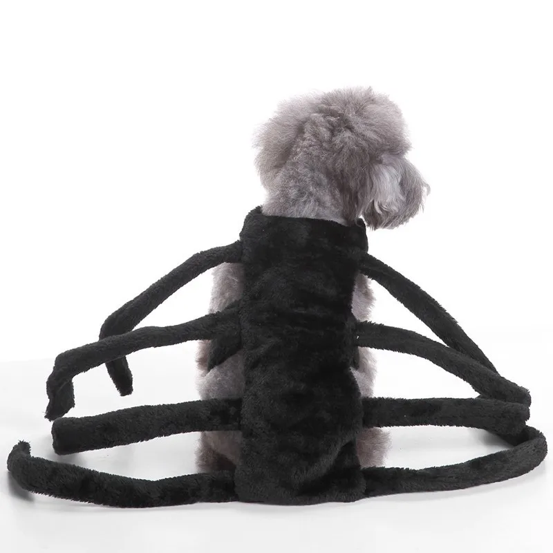 Dizfras Para Perro одежда для хеллоуина кошек щенков собак Забавный костюм кошки котенка
