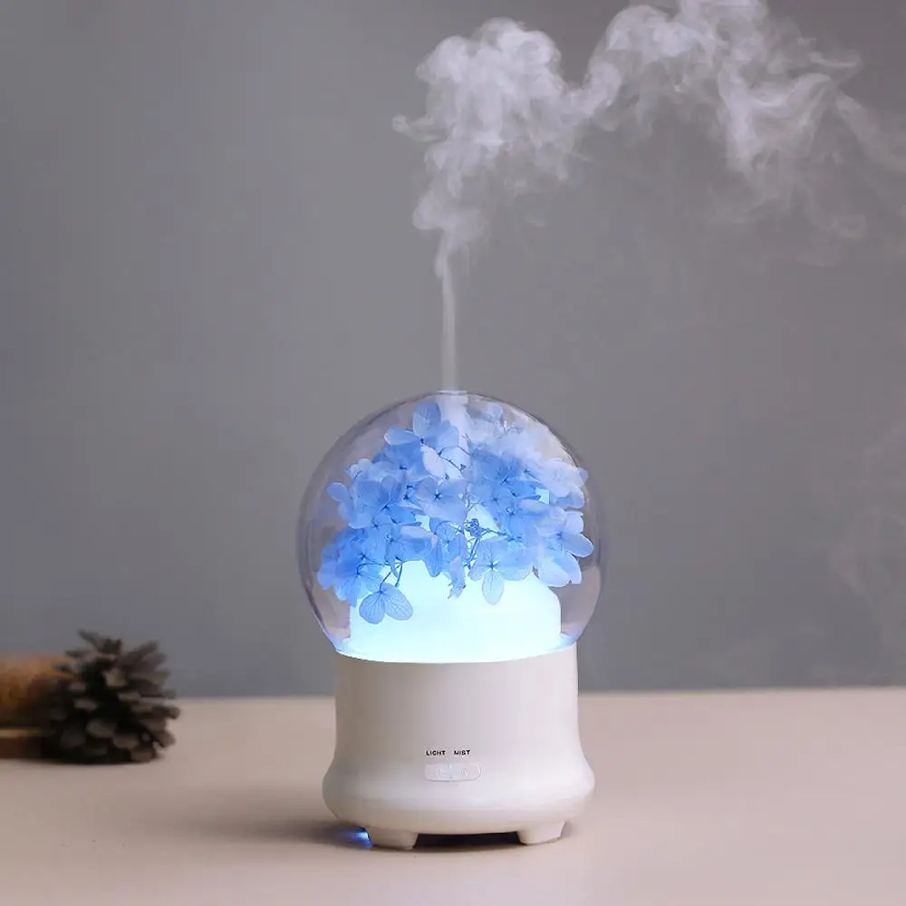 

Adoolla Safe Aroma Diffuser Electrical Basics Colorful LED Mist Fogger Humidifier