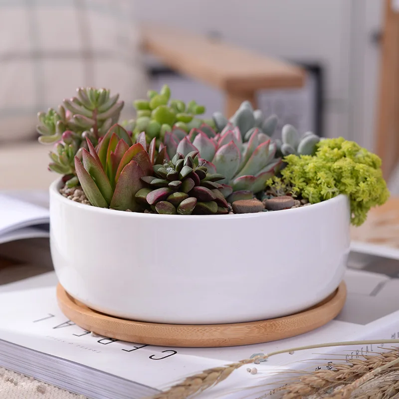 

1 Set Minimalist White Ceramic Succulent Plant Pot Porcelain Deep Rounded Pot Desktop Pot Zakka Home Office Decor 1 Pot +1 Tray