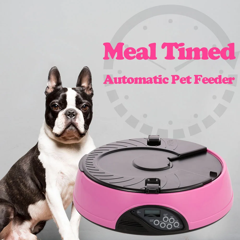 

6 Meal Voice Recorder Automatic Pet Feeder Timer Dog Food Dispenser easy to clean Water Food Bowl for Cats and Dogs