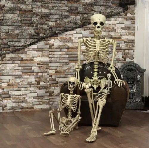 

Maximum Supplier 1Pcs Halloween Prop Human Skeleton Full Size Skull Hand Life Body Anatomy Model Decor 38x12cm