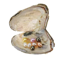 Natuurlijke Parel Zoetwater Gekweekte Parel Oester Multi-color Rijst Kraal Ovaal Wensen Parel Oester DIY Verjaardag Geschenken Mossel Mode(China)