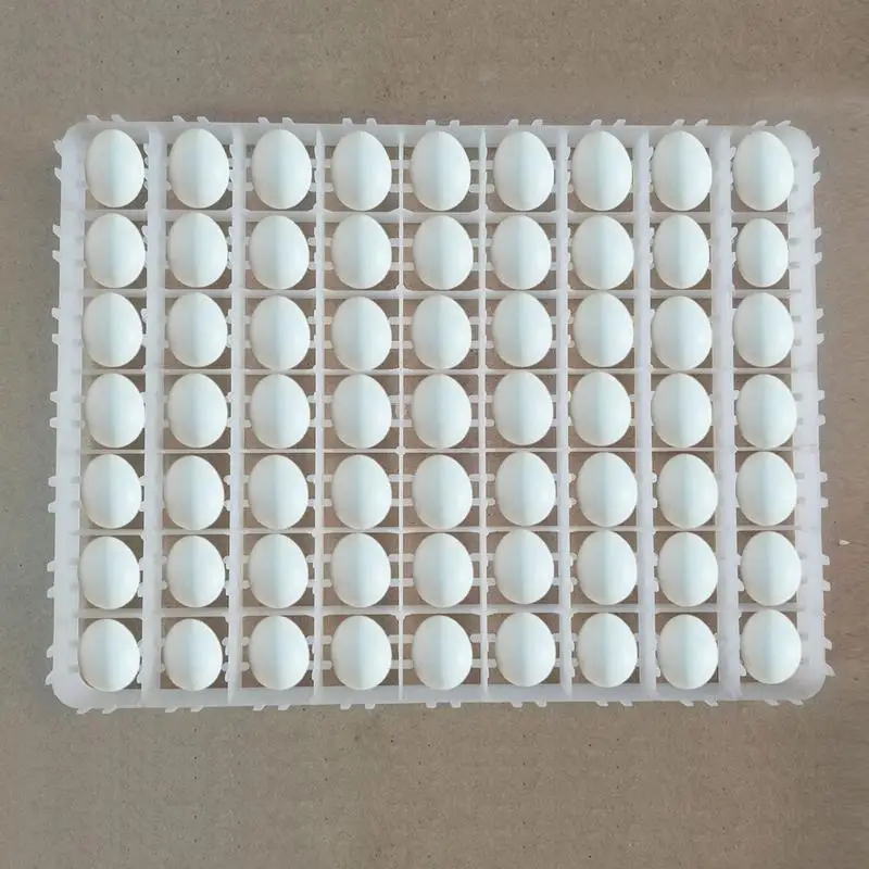 incubator egg trays philippines