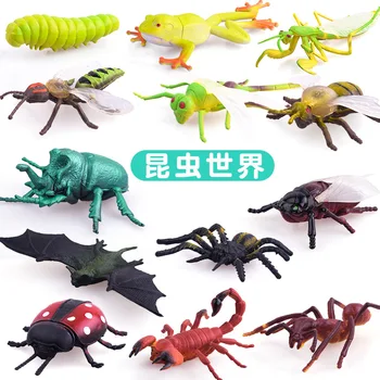 

Real Worm Sea Animals Decoration Sand Scene of Science Cognition Model Toys for Children
