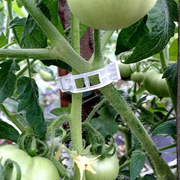 Садовые зажимы для поддержки растений 150 шт., зажимы для томатной лозы, зажимы для томатной шпалы для лозы, овощей, томатов для роста в вертикальном положении и м