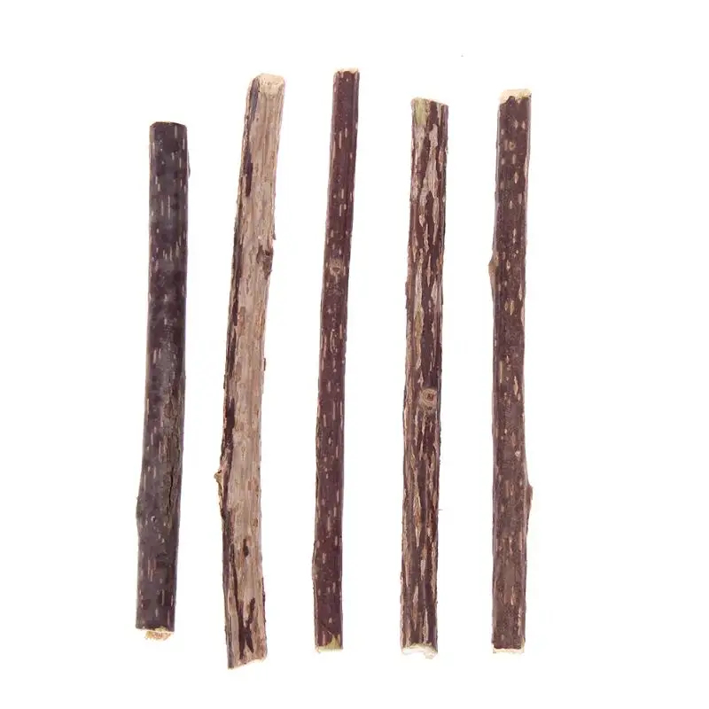 5pcs Pure Natural Catnip Pet Cat Molar Toothpaste Stick Cat Cleaning Teeth Silvervine Actinidia Fruit Matatabi Products for Cats