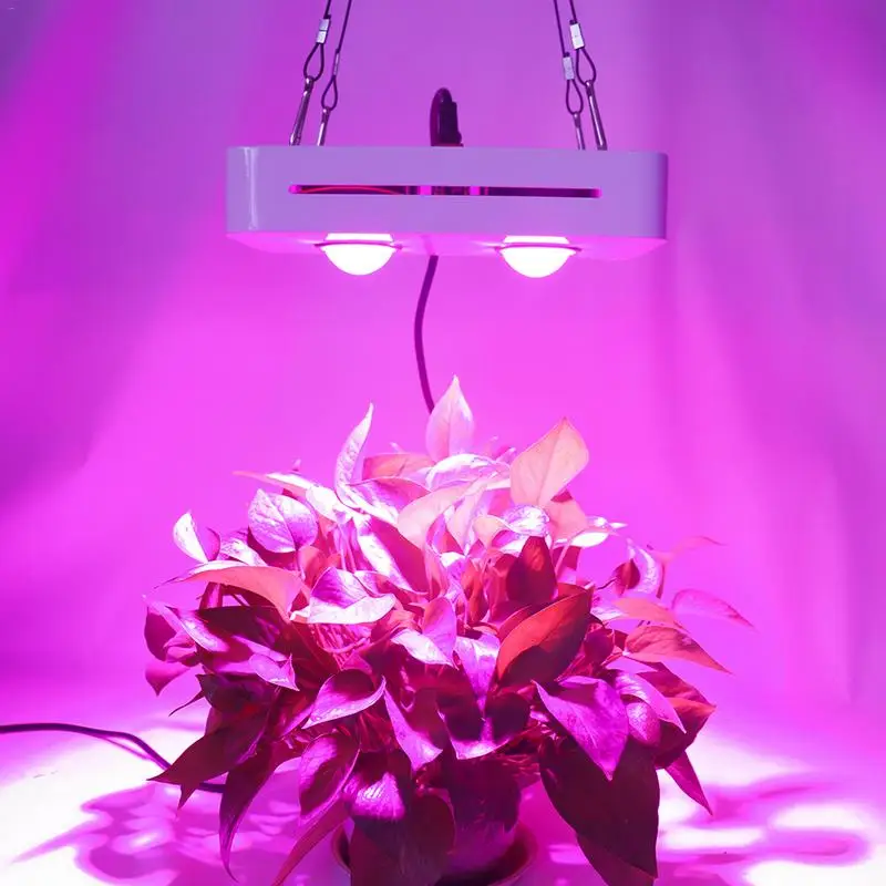 

New LED Grow Fill Light 1000W Full Spectrum LED 2COB Growth Vegetable Plant Lamp Universal for Greenhouse AC90-140V/170-300V