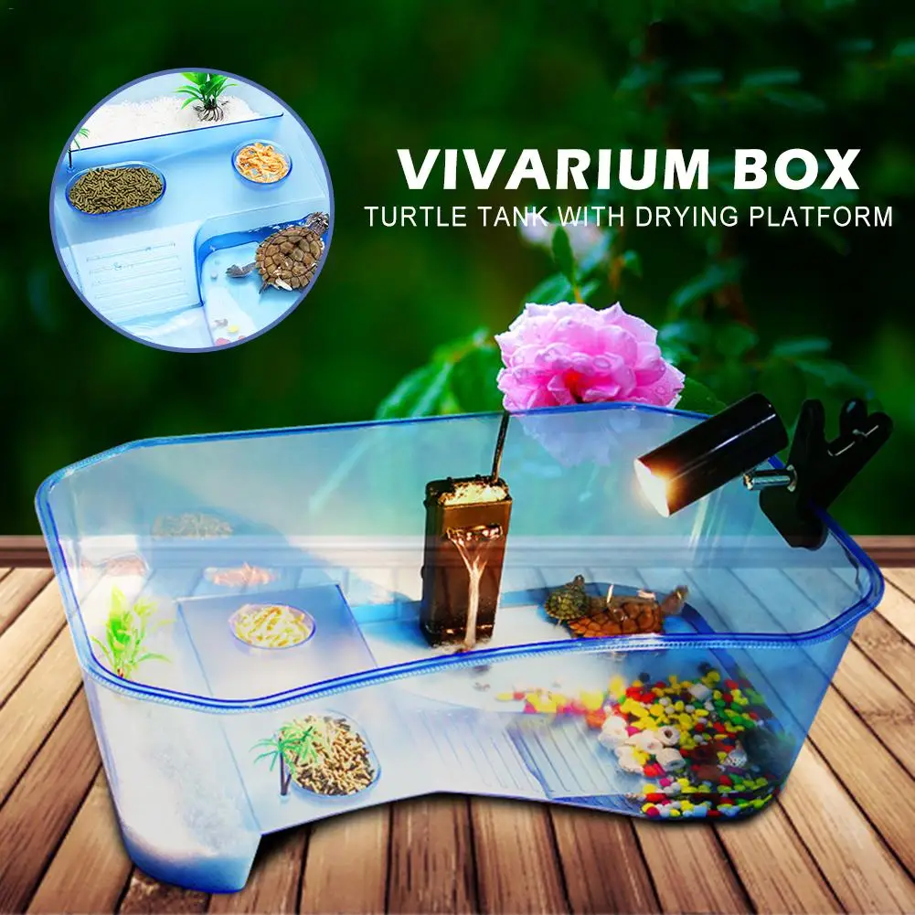 ПЭТ рептилия, черепаха Виварий коробка Пластик аквариум с Баскин рампы синий
