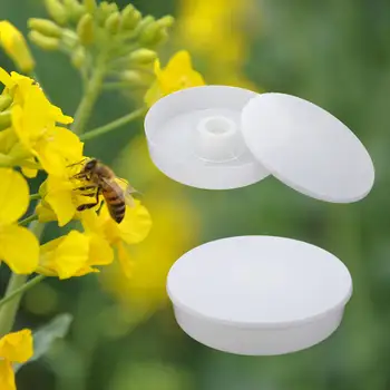 

White Plastic Beehive Beekeeper Bee Feeder Water Drink Feeding Fountains Beekeeping Apiculture Tool