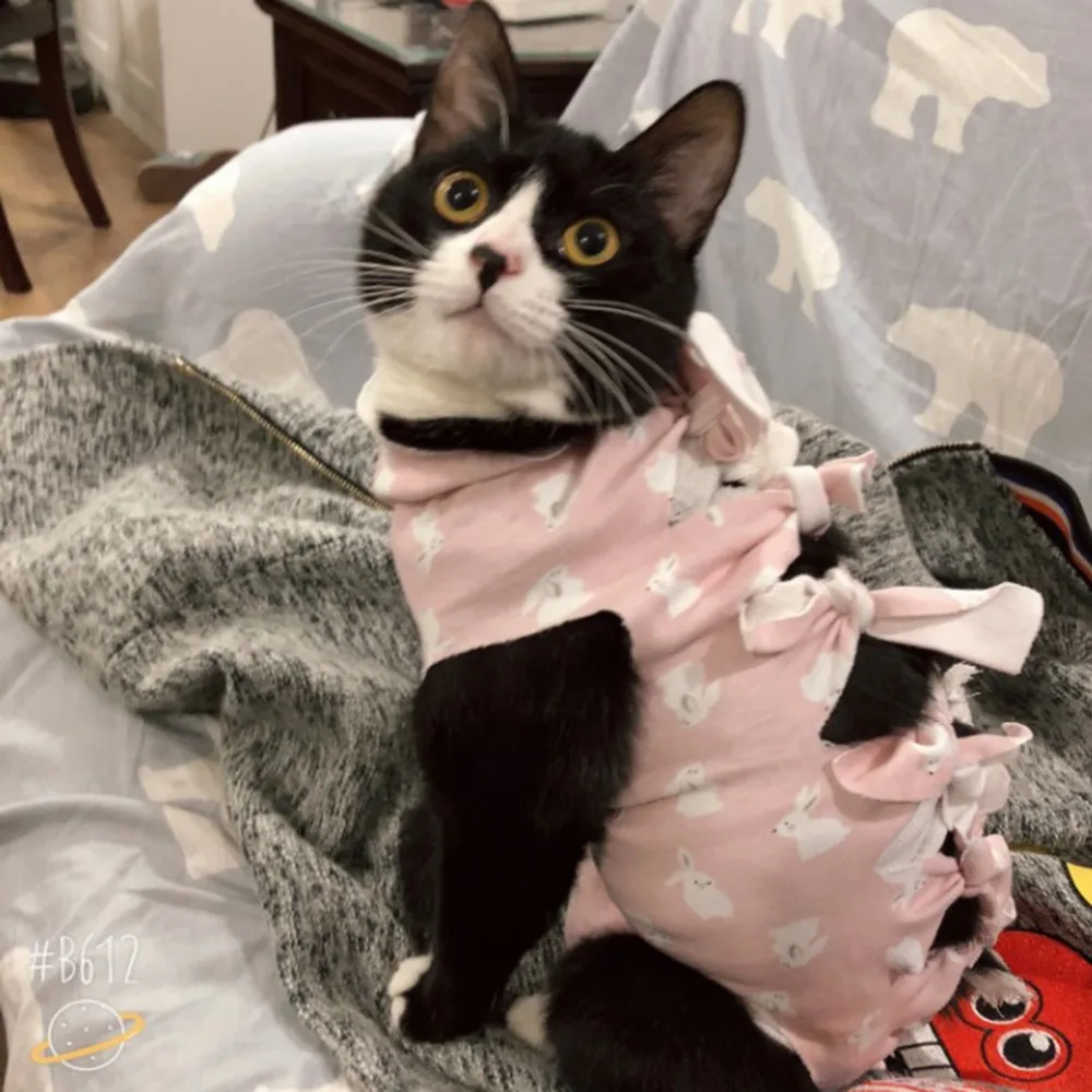 

Dog Cat Surgical Clothes Dogs Pet Medical Protect After Surgery Dog Recovery Clothes for Small Medium Dogs