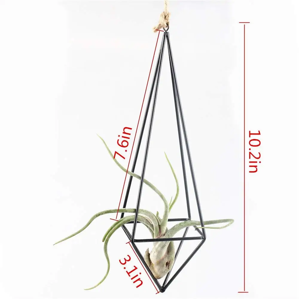Железная Современная деревенская художественная отдельно стоящая подвесная тилландсия держатель для воздушного завода черный 10,2 дюйма Высота четырехсторонняя