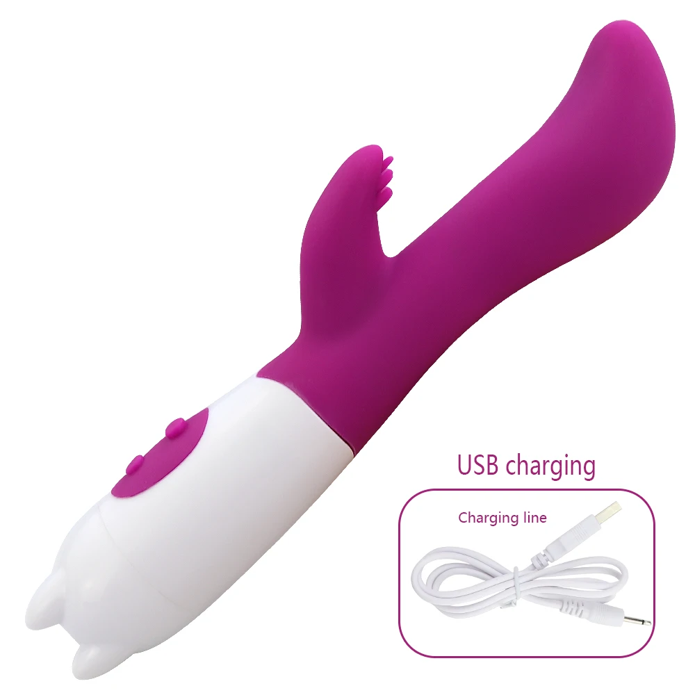 Cocolili USB Rechargeable 10 speed Massager Vibrator Dual Motor Powerful Massage Vibrators |