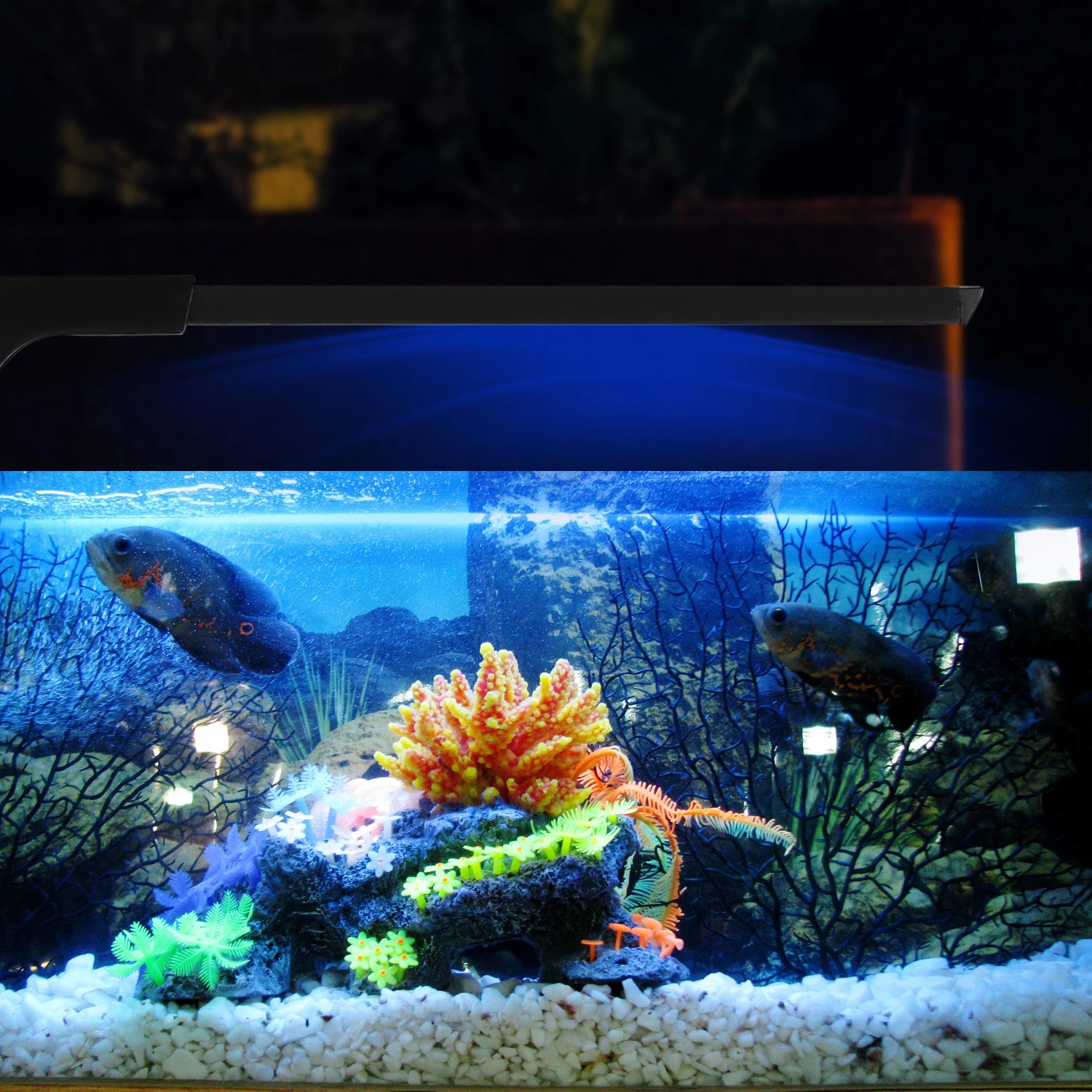 15 Aquarium Led & LED Licht 6 watt Aquatische Pflanze Wachsen Lampe Wasserdicht Clip Auf lampe Mit Ausziehbare Halterung|Beleuchtung| - AliExpress