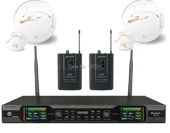 

Baomic BM-87 UHF PROFESSIONAL Stage Performance Wireless Microphone Waist hanging microphone For KTV rooms stage meeting church