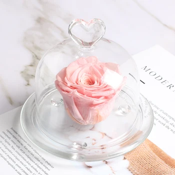 

Forever Flower In Glass Dome Preserved Eternal Real Rose Present Best Gift Thanksgiving Day Birthday Anniversary Valentine's Day