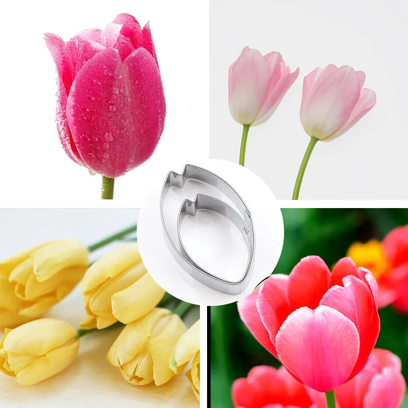 

Stainless Steel Tulip Flower Petal Cutter Mould klei gereedschap polymorph arcilla polimerica Cutting Polymer Clay Tools