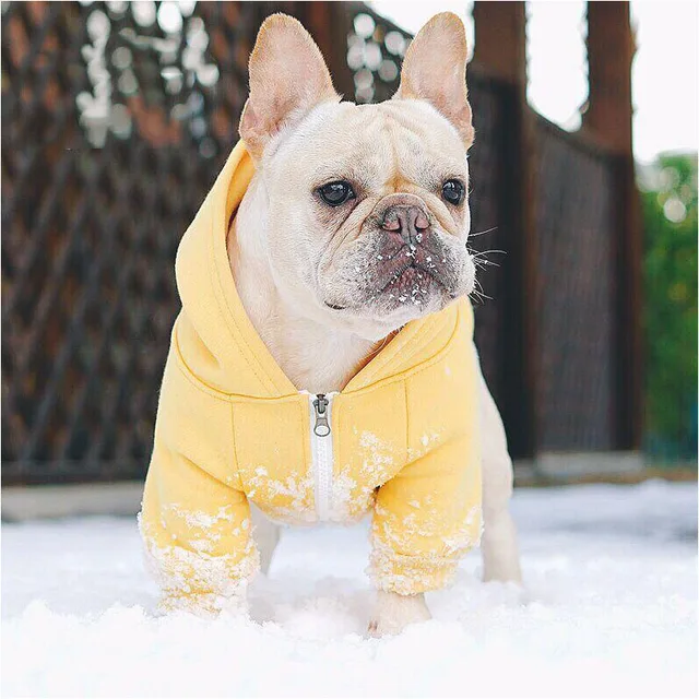 French Bulldog Hoodies Pet Dog Clothes for Small Dogs Pets clothing Chihuahua Coat Pug costume Outfit Puppy Yorkshire Jacket