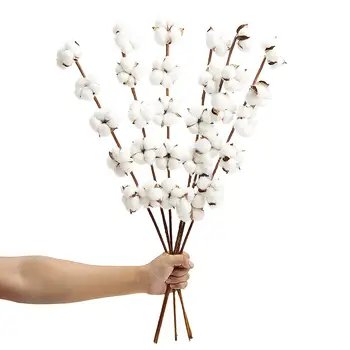 

6 Pack 27 Inch Cotton Stems Farmhouse Decor Rustic Style Vase Filler Floral Decoration Flower