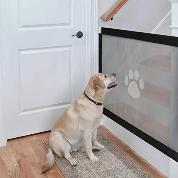 tall dog door