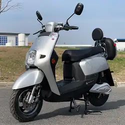 Для Adulto moto rad Elektrikli мото siklet Coche электрика Eletrica электрика мото cicleta Электрический мото rcycle