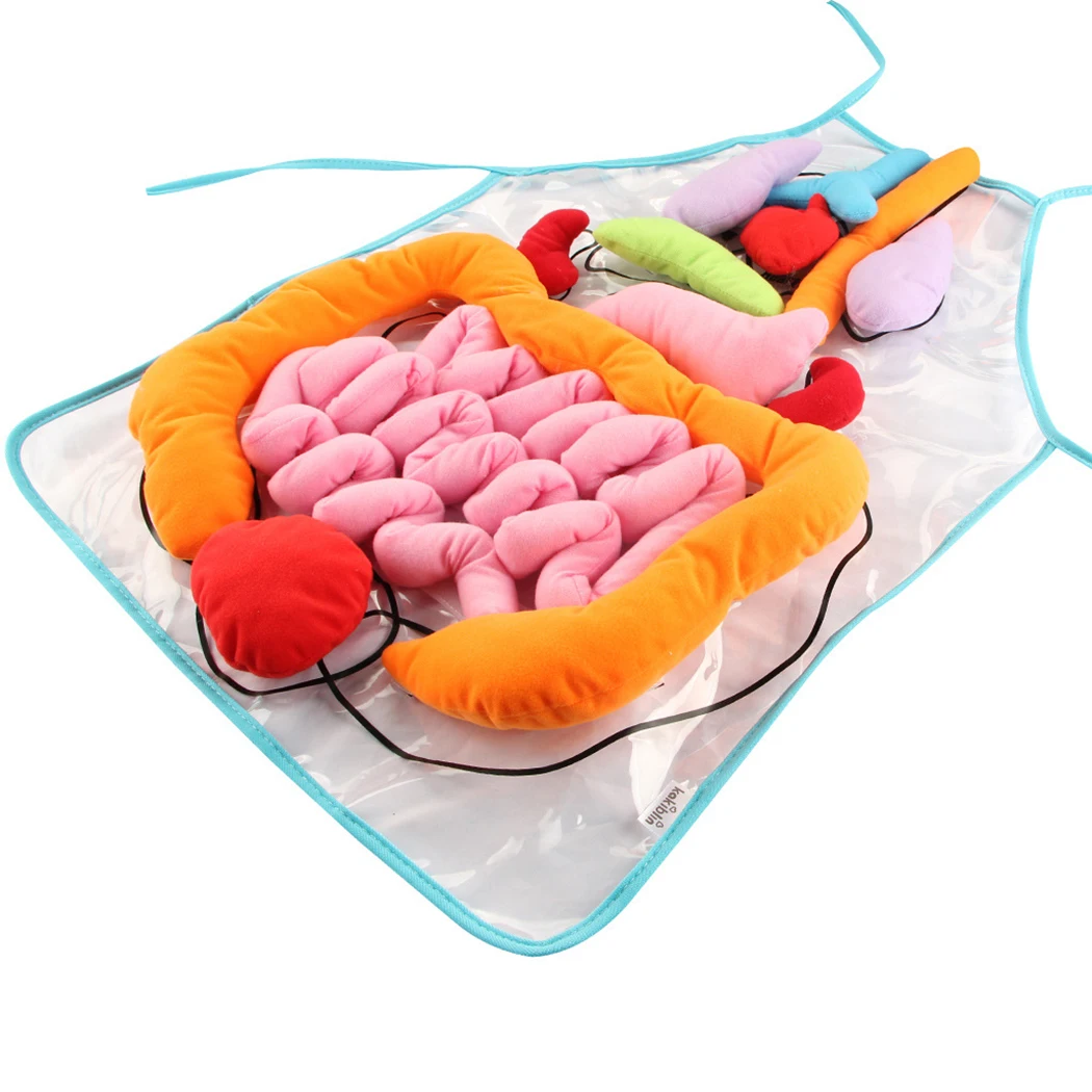 

Anatomy Apron Plush Human Body Organ Educational Insight Teaching Aid for Kids