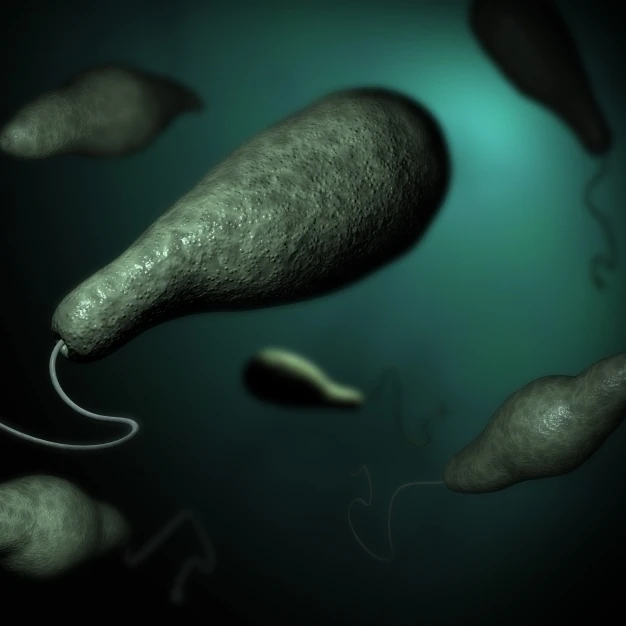 Концептуальное изображение Euglena Poster Print (18x11) | Дом и сад