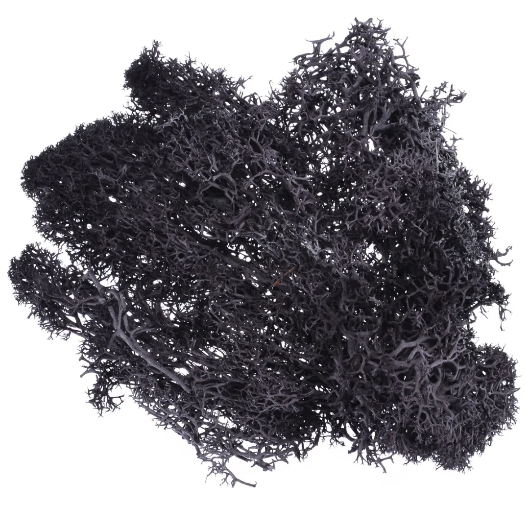 10g DIY Artificial Reindeer Moss Mini Decorative Plants Colorful Dried Moss Artificial Craft Flowers for Garden Home Decoration 10g DIY Artificial Reindeer Moss Mini Decorative Plants Colorful Dried Moss Artificial Craft Flowers for Garden Home Decoration