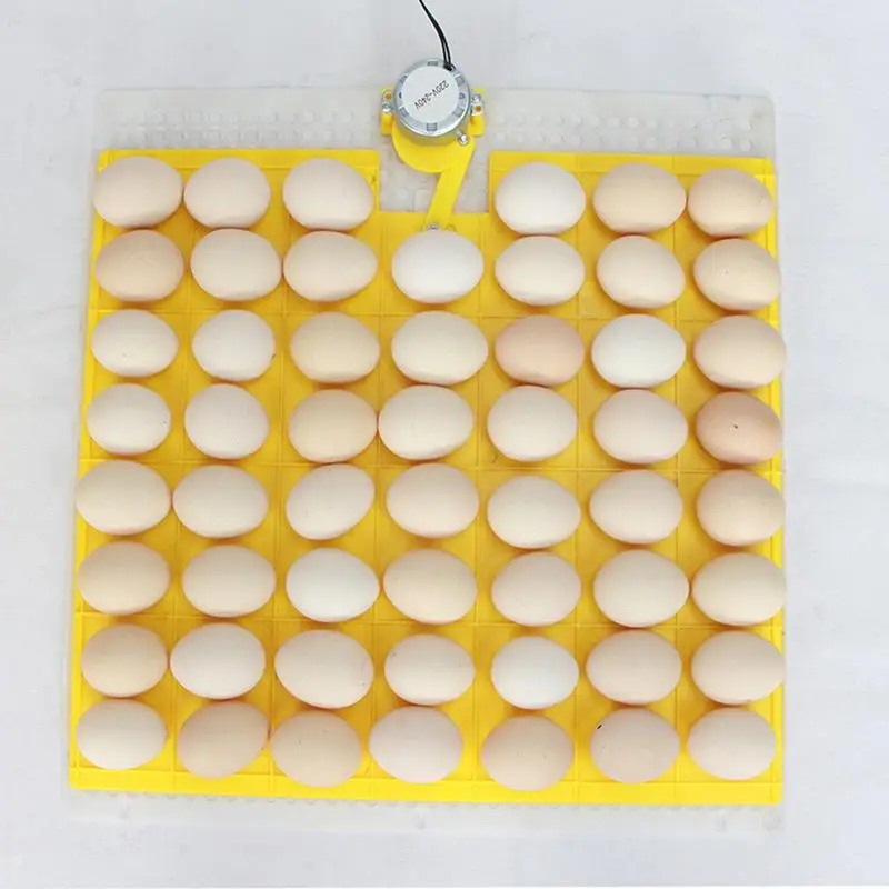 New Automatic Egg Hatcher Mini Digital Family Egg Incubator Dual Fan Chicken Poultry Foam Hatcher Chicken Bird Plucking Machine New Automatic Egg Hatcher Mini Digital Family Egg Incubator Dual Fan Chicken Poultry Foam Hatcher Chicken Bird Plucking Machine