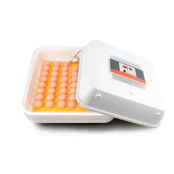 

New Automatic Egg Hatcher Mini Digital Family Egg Incubator Dual Fan Chicken Poultry Foam Hatcher Chicken Bird Plucking Machine