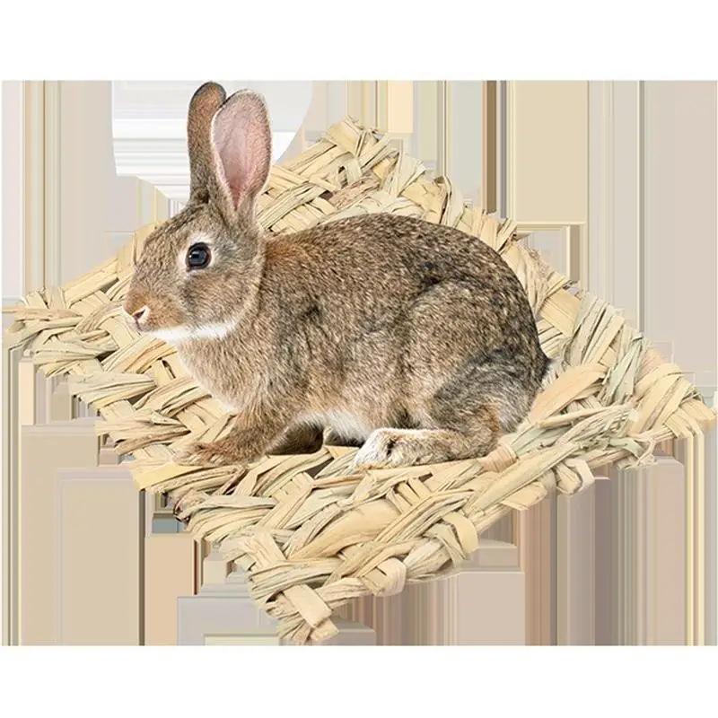 Grass Weaving Mat Small font b Pet b font Nest Squirrel Guinea Pig Ferret Rabbit Edible