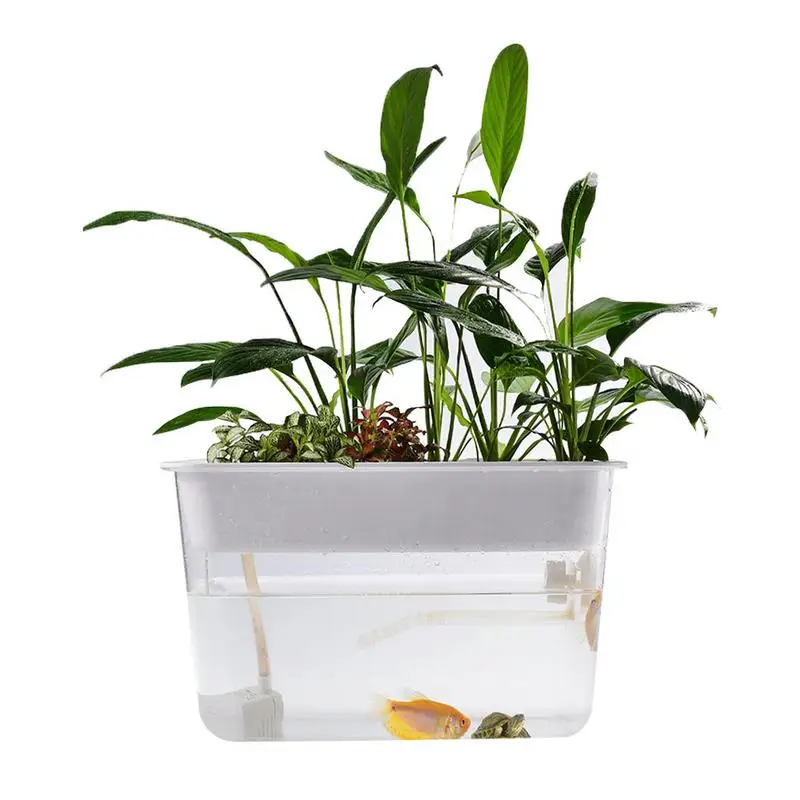 

Fish Vegetables Symbiotic Lazy Ecological Water-Free Desktop Fish Tank Fish Turtle Transparent Desk Fish Tank Grows Plants