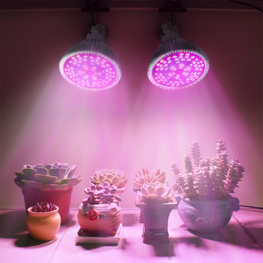 

LED Grow Bulb Full Spectrum E27 8W 30W 50W 80W LED Grow Bulb RGB for Greenhouse Plant Growth Lamp Hydroponics Light