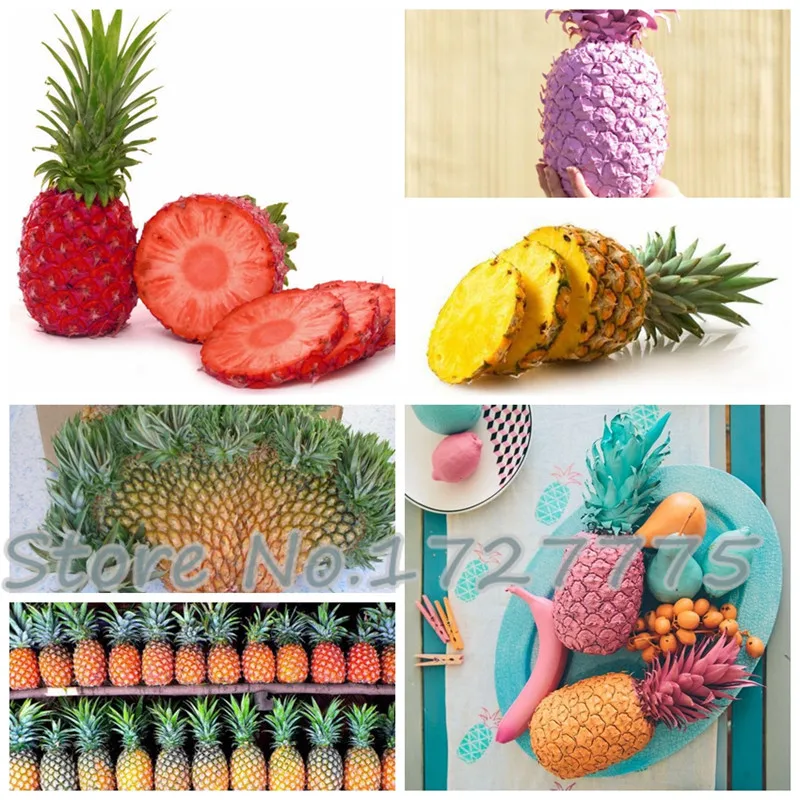 

100 Pcs Pineapple Bonsai Juicy Delicious Fruit Tree Rare Exotic Colorful Potted Plant Decoration Home & Garden Free Shipping