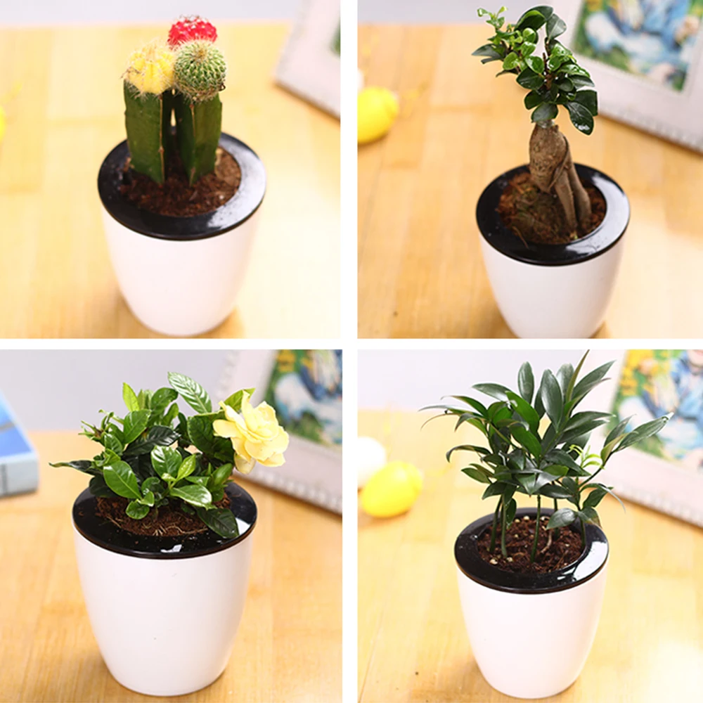 

Auto Irrigate Flower Pot Lazy Flower Round Pot Automatic Watering Planter Personality White Plastic Water Storage Pots Dropship