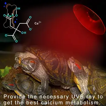 

25/50/75/100W Pet Reptile Turtle Snake Fish Full Spectrum Heating Lamp Aquarium Tank Lamp UVA + UVB Sun Light