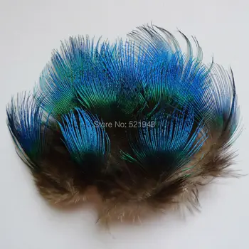 

200Pcs/Lot 3-6cm Length Natural Blue Peacock Body Plumas Feathers for Crafts Hat Wedding/Party dreamcatcher Decoration Plumes