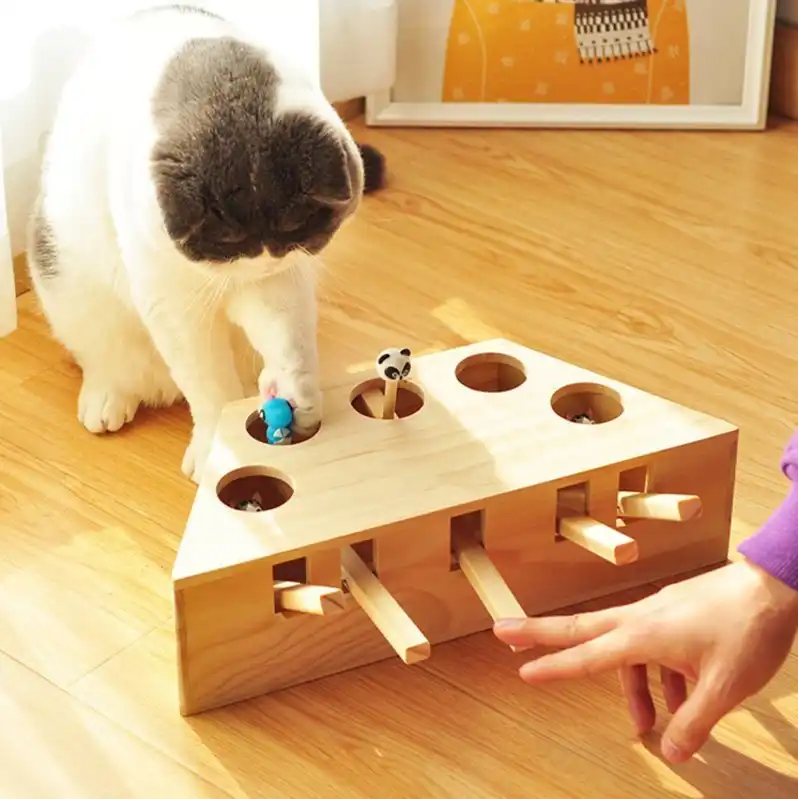 Chat En Bois Frappe Gophers Jouets Interactif Attraper Souris Jeu Machine Taquiner Chat Jouets Animal Interactif Fournitures Chat Poincon Griffoir Cw213 Aliexpress Chat En Bois Frappe Gophers Jouets Interactif Attraper Souris Jeu Machine Taquiner Chat Jouets Animal Interactif Fournitures Chat Poincon Griffoir Cw213 Aliexpress