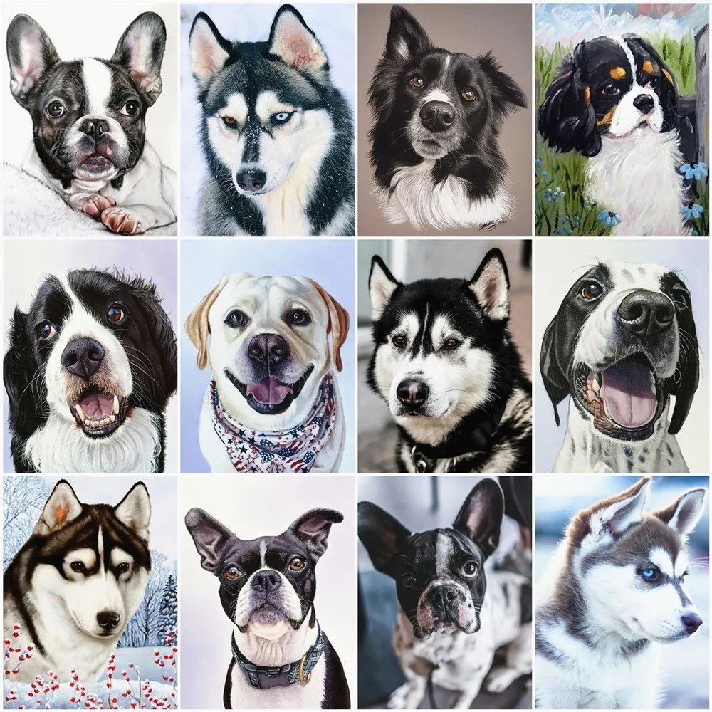 

Haucan DIY Diamond Painting Dog Animal Diamond Embroidery Sale Full Square Rhinestone Picture 5d Diamond Mosaic DropShip