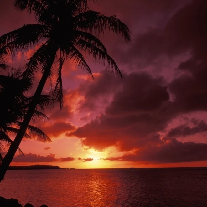 Guam Tumon Bay Bright Red Sunset And Silhouetted Palms On Beach. Poster Print (34 x 22) | Дом и сад