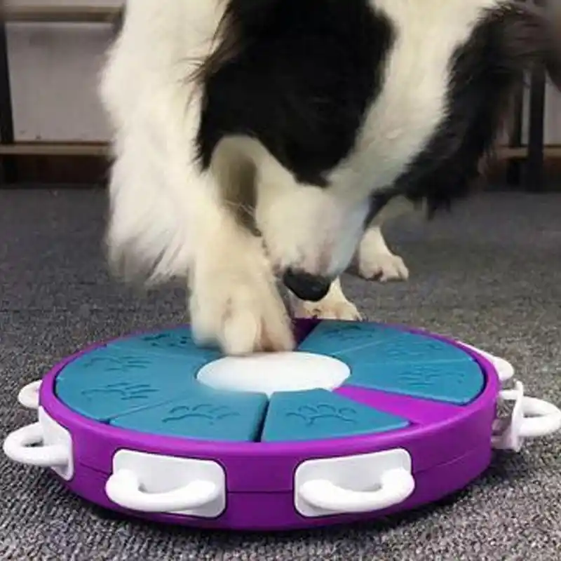 pet puzzle bowl