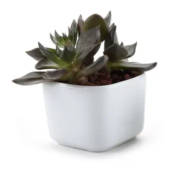 

Ceramic White Mini Square Succulent Cactus Plant Pot Flower Pot/container/planter
