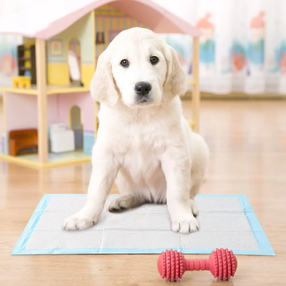 

Dadypet Pet Training Pads 5-Layer Leak-proof 100pcs Pet Dog Training Pad Diaper Antibacterial Puppy Dog Pet Cleaning Supplies