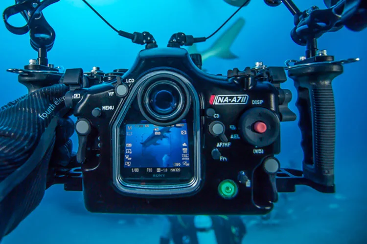 NiteScuba Дайвинг подводная фотография Nauticam камера корпус NA A7II чехол для a7r2 a7s2 море и
