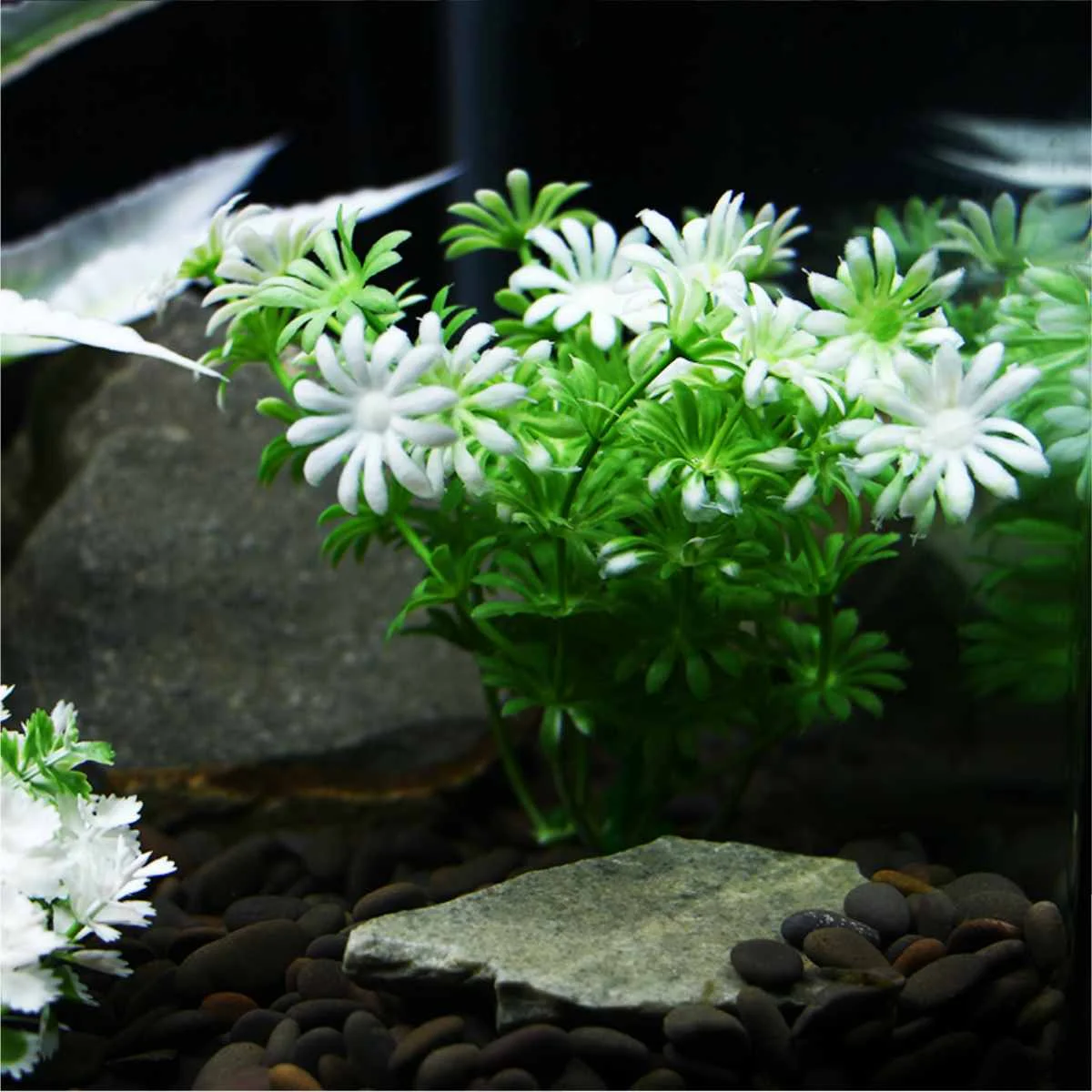 

Plastic Artificial Underwater Plants Aquarium Fish Tank Decoration Green Water Grass White Leaf Crown Grass Viewing Decorations