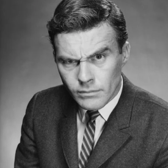 Portrait of a businessman staring Poster Print (18 x 24) | Дом и сад