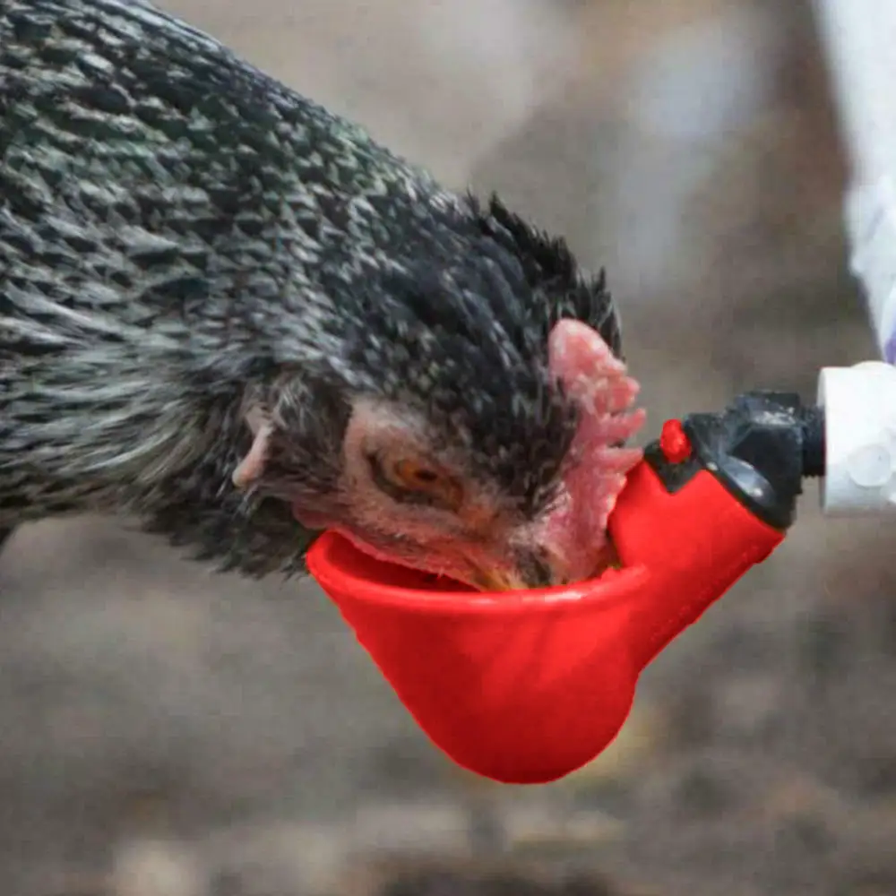 

10PCS Automatic Quail Drinker Chicken Waterer Bowl Farm poultry drinking water system
