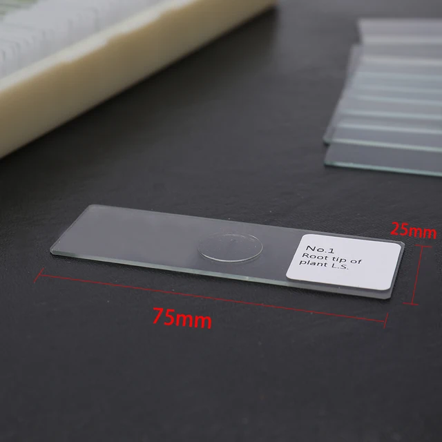 100 Pcs Coverslips Glas Tier Pflanzen Insekten Glas Probe Wissenschaft Probe Abdeckung Rutscht Objekttrager Teile Und Zubehor Microscope Parts Accessories Aliexpress